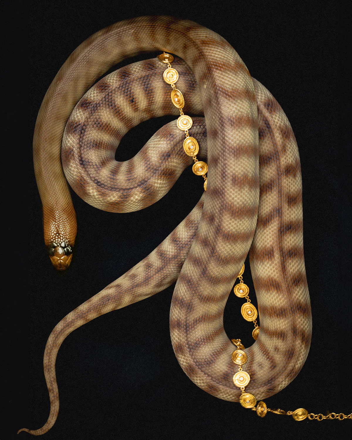 Reign Chain Diamond Solid Gold - Image 4